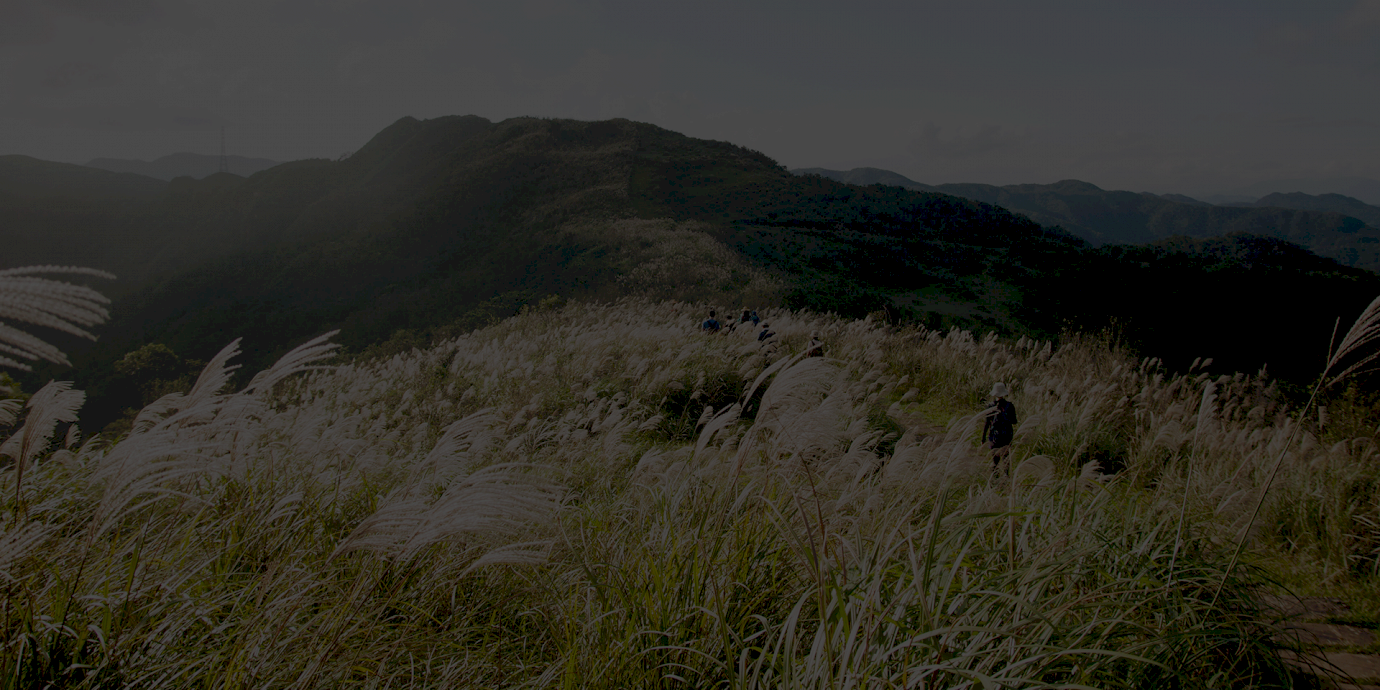 恆山首恆 新案上市